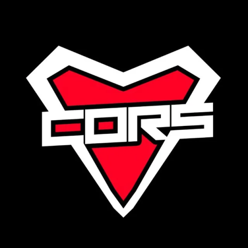CORS PUBG team — BROGGUA Esports
