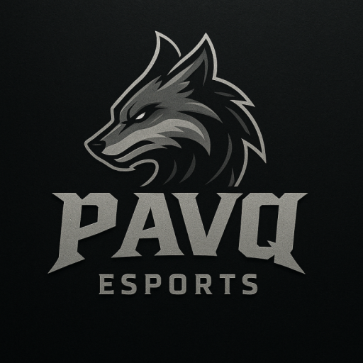 PAVQ PUBG team — BROGGUA Esports