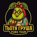 Тьотя Груша PUBG team — BROGGUA Esports