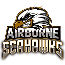 Airborne Seahawks PUBG team — BROGGUA Esports