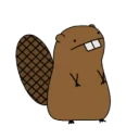 Angry Beavers PUBG team — BROGGUA Esports