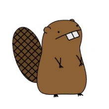 Angry Beavers PUBG team — BROGGUA Esports