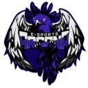 Arcana PUBG team — BROGGUA Esports