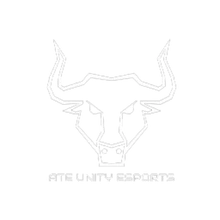 Ate Unity Esports PUBG team — BROGGUA Esports