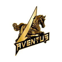 Aventus PUBG team — BROGGUA Esports