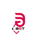 Babi Gang Team PUBG team — BROGGUA Esports