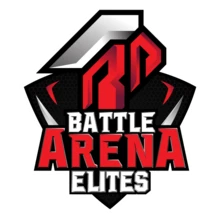 Battle Arena Elites PUBG team — BROGGUA Esports