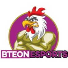 Best Team Ever Or Not PUBG team — BROGGUA Esports
