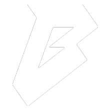Bestia 2 PUBG team — BROGGUA Esports