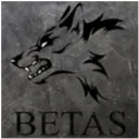 Betas PUBG team — BROGGUA Esports