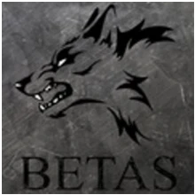 Betas PUBG team — BROGGUA Esports