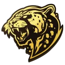 BUSHIDO WILDCATS BUSHIDO WILDCATS PUBG team — BROGGUA Esports