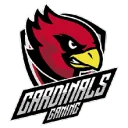 CARDINALS GAMING PUBG team — BROGGUA Esports