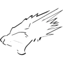 carnivor3s PUBG team — BROGGUA Esports