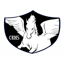 Corinthians Clan PUBG team — BROGGUA Esports