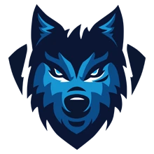 Diamond Dogs PUBG team — BROGGUA Esports