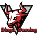 Dingu Gaming PUBG team — BROGGUA Esports