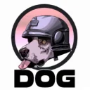 DOG PUBG team — BROGGUA Esports