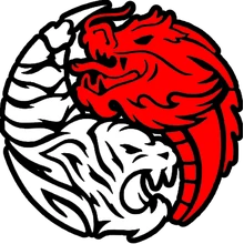 Dragon Tiger Beryl Showdown PUBG team — BROGGUA Esports