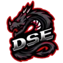 DsE DsE PUBG team — BROGGUA Esports