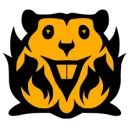 Fire Beavers PUBG team — BROGGUA Esports