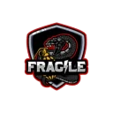 FraGile PUBG team — BROGGUA Esports