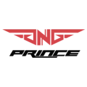 GOnGO Prince GOnGO Prince PUBG team — BROGGUA Esports