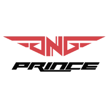 GOnGO Prince PUBG team — BROGGUA Esports