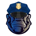 Gorifriends PUBG team — BROGGUA Esports