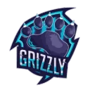 GRIZZLY E-SPORT PUBG team — BROGGUA Esports