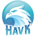 HAVK HAVK PUBG team — BROGGUA Esports