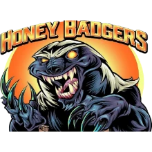 Honey Badgers PUBG team — BROGGUA Esports