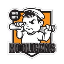HOOLIGUN'S PUBG team — BROGGUA Esports