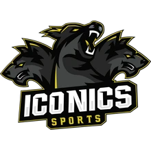 ICONICS SPORTS PUBG team — BROGGUA Esports