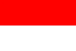 Indonesia PUBG team — BROGGUA Esports