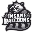 Insane Raccoons PUBG team — BROGGUA Esports