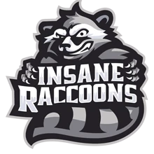 Insane Raccoons PUBG team — BROGGUA Esports