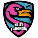 Killer Flamingos Killer Flamingos PUBG team — BROGGUA Esports