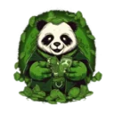 LULW PUBG team — BROGGUA Esports