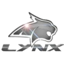 Lynx PUBG team — BROGGUA Esports