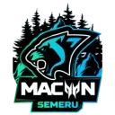 MACAN SEMERU MACAN SEMERU PUBG team — BROGGUA Esports