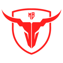 MadBulls PUBG team — BROGGUA Esports