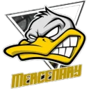 MERCENARY MERCENARY PUBG team — BROGGUA Esports
