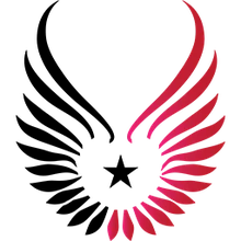 Mercy Gaming PUBG team — BROGGUA Esports