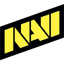 NaVi 2 PUBG team — BROGGUA Esports