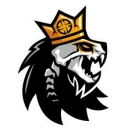 NecroRaisers NecroRaisers PUBG team — BROGGUA Esports