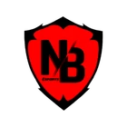 Never Broke Esports PUBG team — BROGGUA Esports
