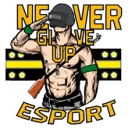 Never Give Up Esport PUBG team — BROGGUA Esports