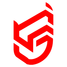 NewGate PUBG team — BROGGUA Esports