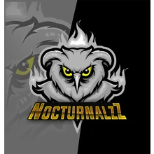 NocturnalzZ PUBG team — BROGGUA Esports
